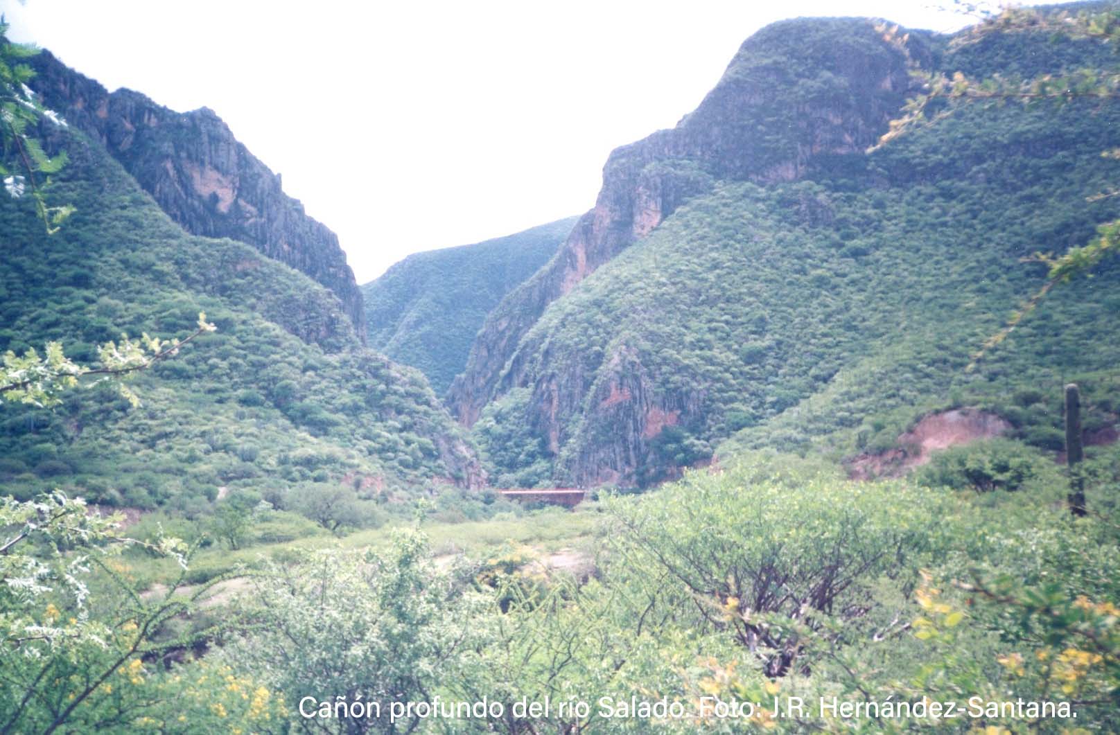 Cañón del Río Salado